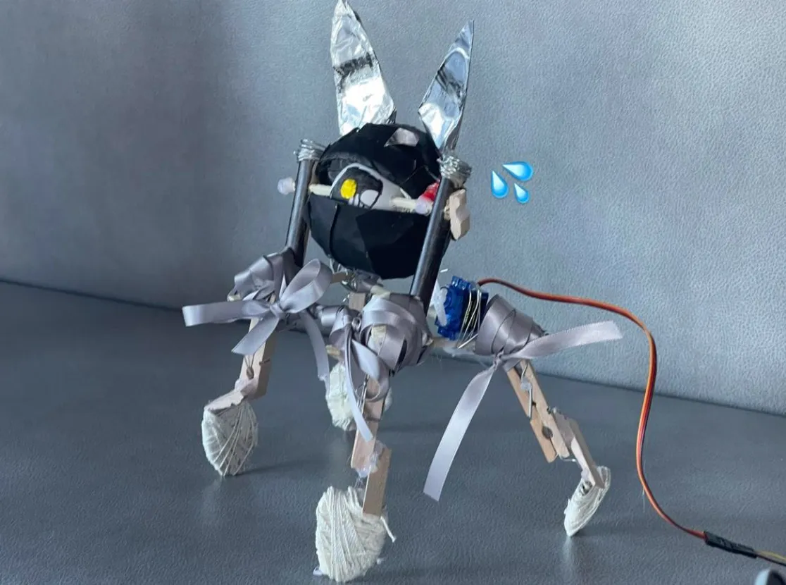 Rabbit Robot